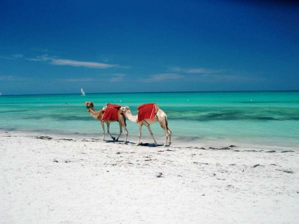 Djerba beach landscape