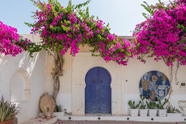 Traditional street scene in Djerba